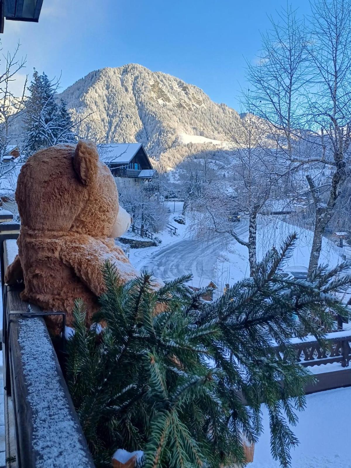 Chalet Appart'Hotel L'Eau Vive Saint-Nicolas-la-Chapelle  外观 照片
